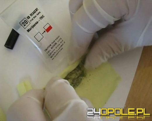 Młody kierowca wpadł z marihuaną