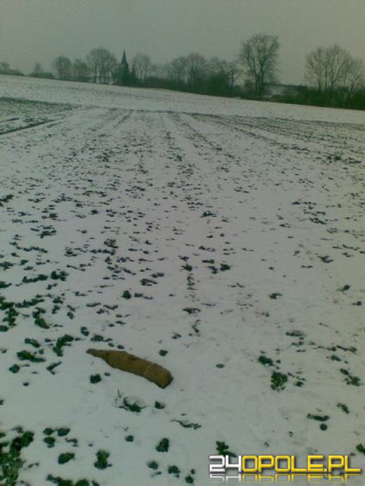 Niewybuch znaleziony pod Nysą