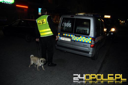 Zagubiony pies uratowany w mroźną noc