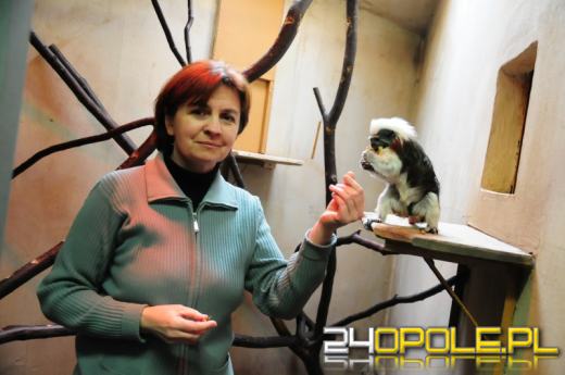 Pani Ania - matka zastępcza opolskiego ZOO