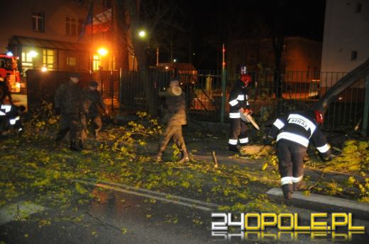 Wiatr powalał drzewa, zrywał linie energetyczne