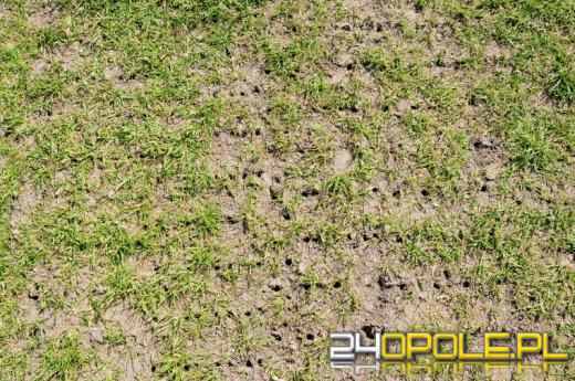 W sobotę Oderka zagra z Rybnikiem. To będzie wyjątkowy mecz.