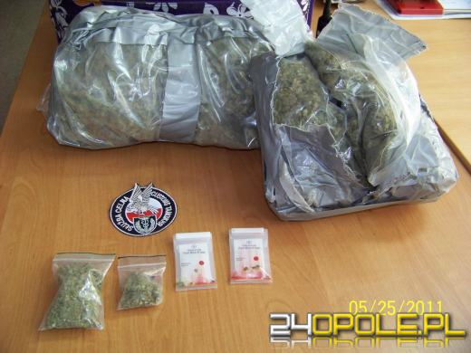 Pies celników wywęszył w bagażu marihuanę