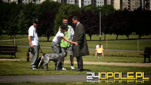Sprzątaj po psie. Stanowcza kampania ratusza