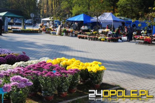 Biznes na 1 listopada kwitnie