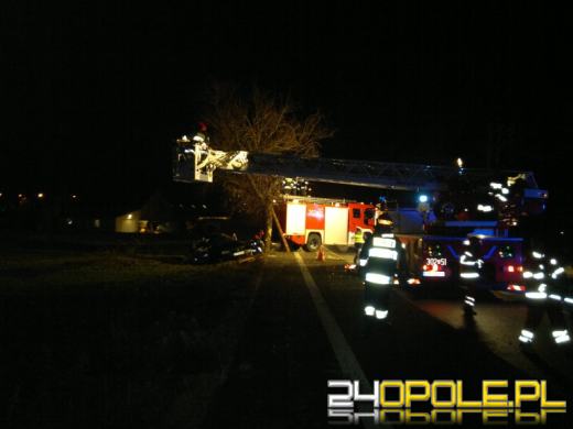 Szok! Kierowca po wypadku zawisł na drzewie