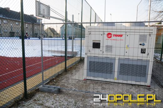 Białe Orliki na Opolszczyźnie, ale nie w Opolu