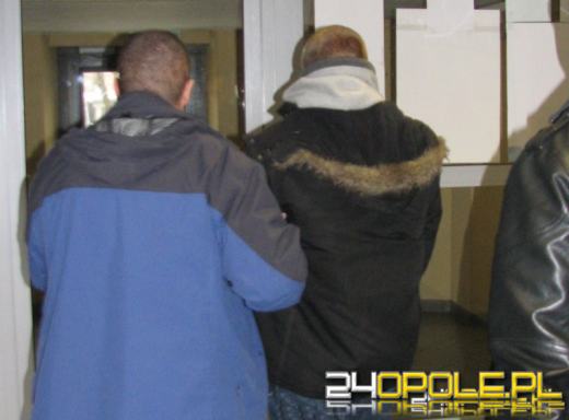 Dwóch 17-latków założyło plantację konopii