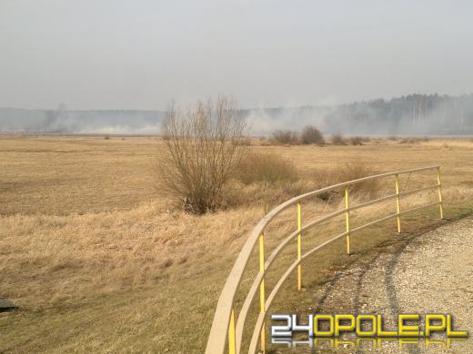 Ogromny pożar lasów między Turawą a Ozimkiem