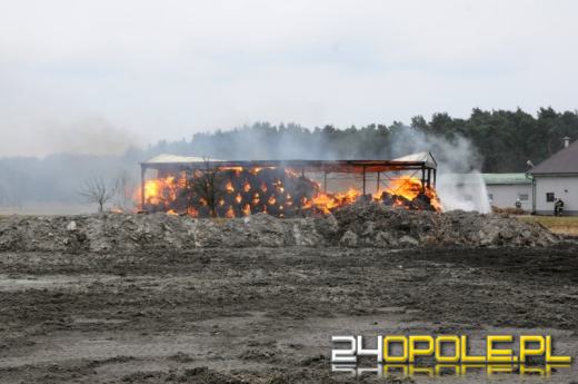 Pożar w Centawie: płonie stos ze słomą
