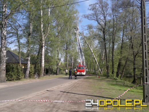 Wiatr powalił drzewo na jadący samochód
