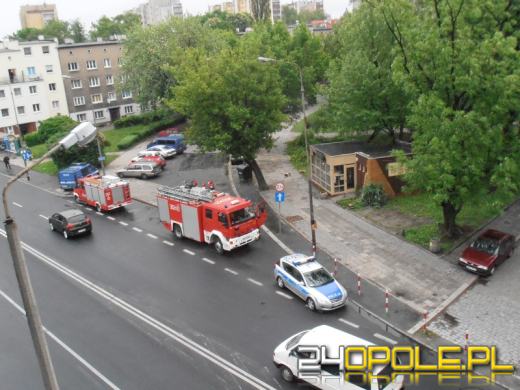 Złamany konar spadł na samochód