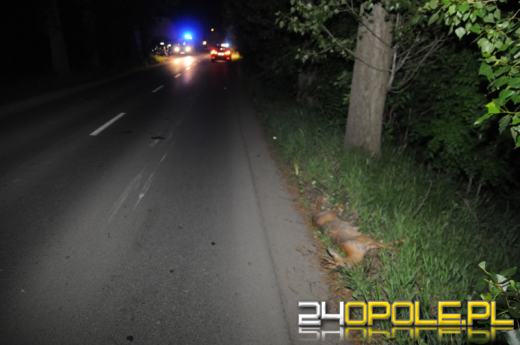 Motocyklista zderzył się z sarną