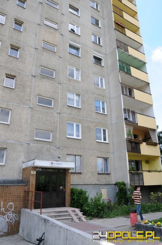 Paw siedział na parapecie okna na piątym piętrze