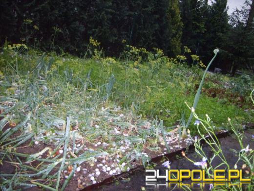 Burza nad Opolszczyzną: grad wielkości piłek do ping-ponga