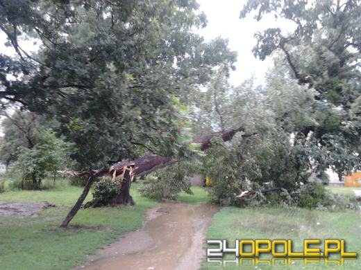 Kolejne zniszczenia po wieczornej burzy