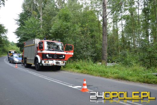 Pijany 60-latek rozbił auto w Tułowicach