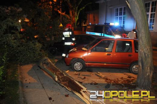 Połamane drzewa i gałęzie - bilans nocnej burzy