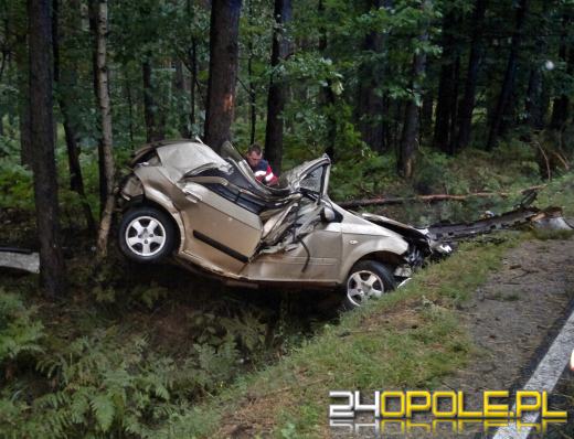 Tragiczny wypadek na trasie Opole-Kluczbork