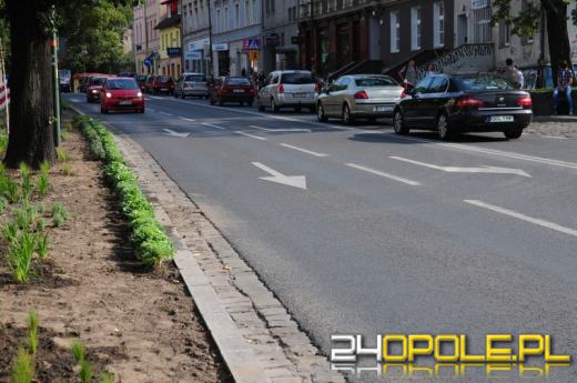 W centrum Opola wyrosła kapusta