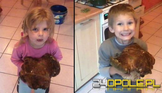 Zobacz zdjęcia z grzybobrania naszych czytelników