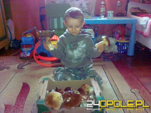 Zobacz zdjęcia z grzybobrania naszych czytelników