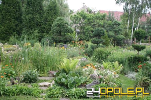 Zobacz najpiękniejsze ogrody w regionie