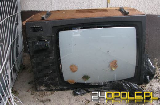 Wpuścił do rzeki kilkaset śniętych ryb