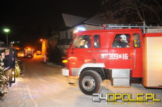 Pożar pawilonu z płazami i gadami w opolskim ZOO