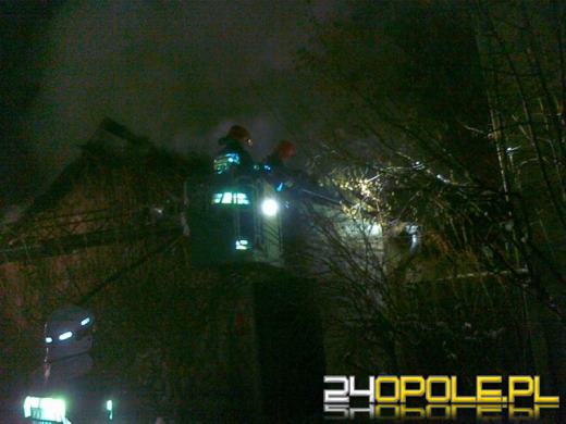 Pożar pawilonu z płazami i gadami w opolskim ZOO