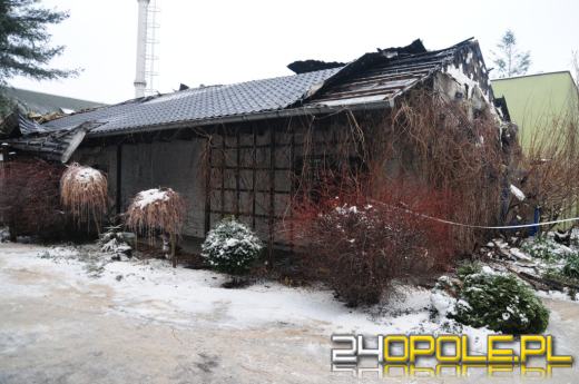 Około 300 zwierząt spłonęło w nocnym pożarze ogrodu zoologicznego