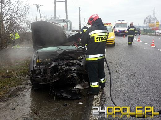 Samochód uderzył w słup, kierującej nic się nie stało