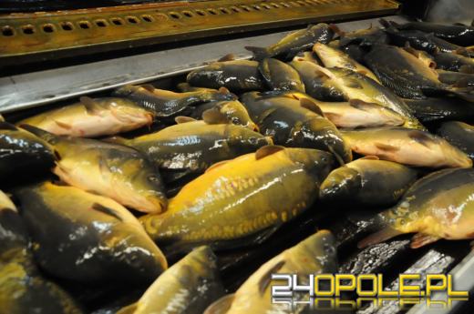 Karp na wigilijny stół. Jak dobrze wybrać?