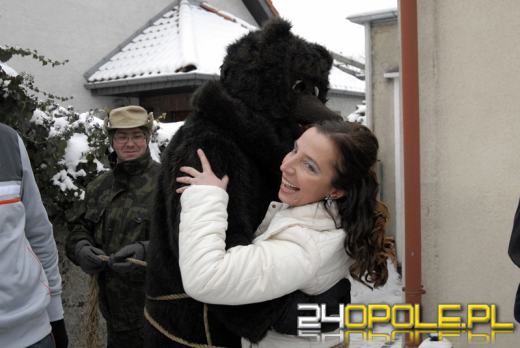 W Winowie trwają "Bery" czyli karnawałowe wodzenie niedźwiedzia