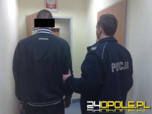 Zatrzymano włamywaczy okradających domy w Nowej Wsi Królewskiej