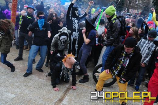 300 opolan zatańczyło Harlem Shake. Zobacz film!