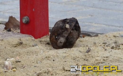 Granat na przystanku autobusowym w Nysie