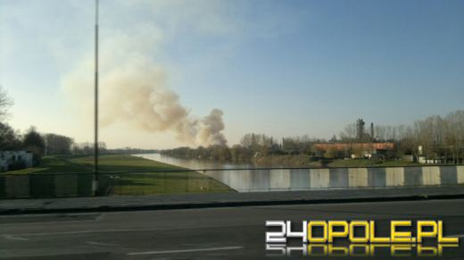 Ogromny pożar sterty słomy w Opolu