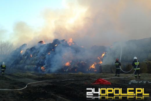 Ogromny pożar sterty słomy w Opolu