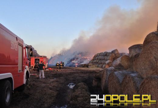 Ogromny pożar sterty słomy w Opolu