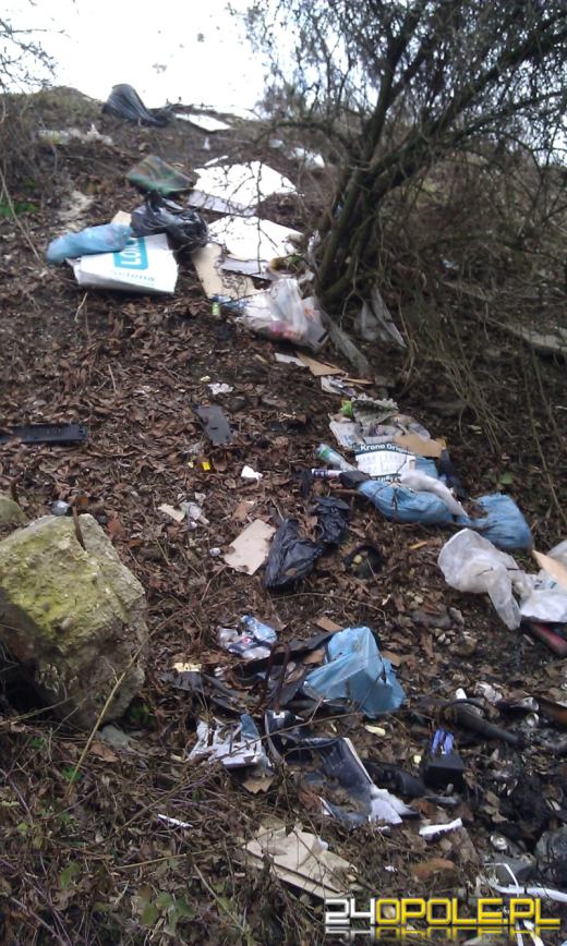 Śmietnisko na kąpielisku Bolko