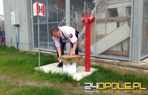 Wąż w sklepie postawił na nogi służby ratownicze