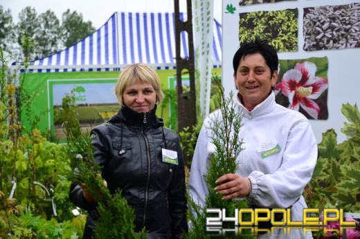 W Łosiowie trwają targi „Wiosna Kwiatów”