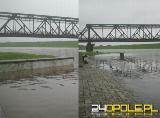 W Opolu wylała Odra. Mieszkańcy są zaniepokojeni.