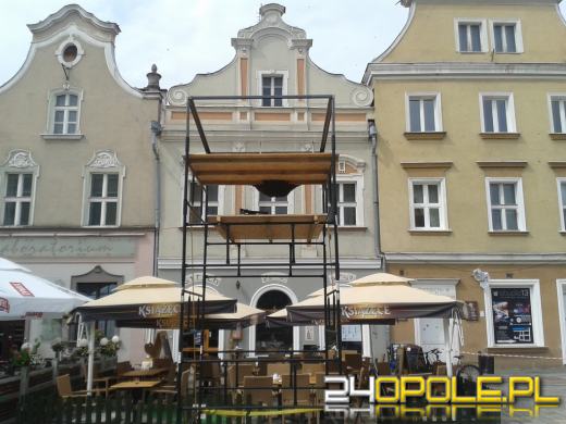 Rój pszczół zaatakował opolski rynek