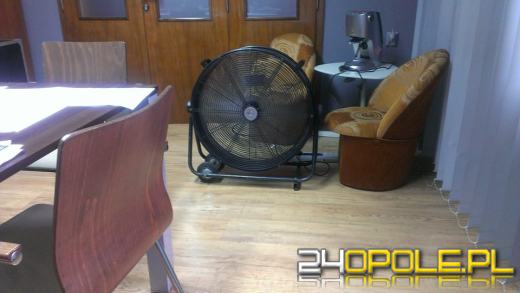 W upał każdy radzi sobie jak może!