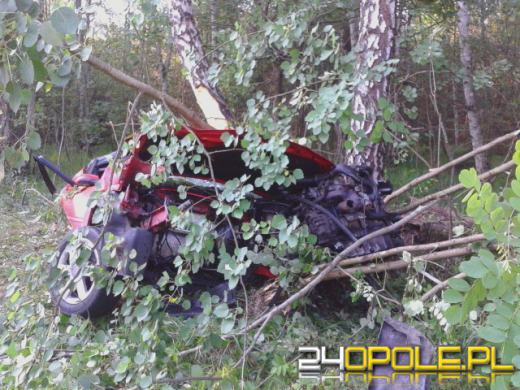 Pijany kierowca podczas wyprzedzania uderzył w drzewo