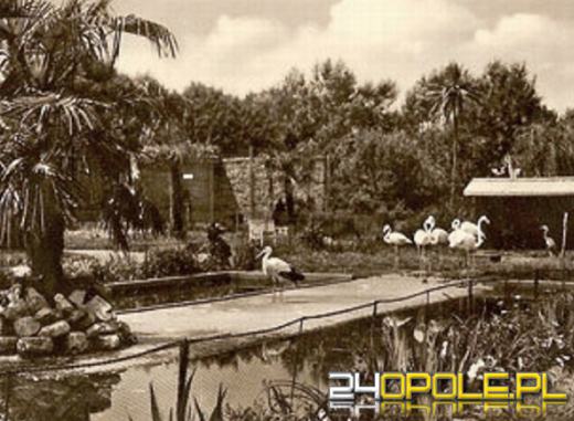 Od małego zwierzyńca do wielkiego ogrodu