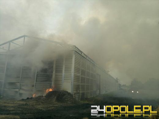 Duży pożar słomy w hali przy ul. Magazynowej