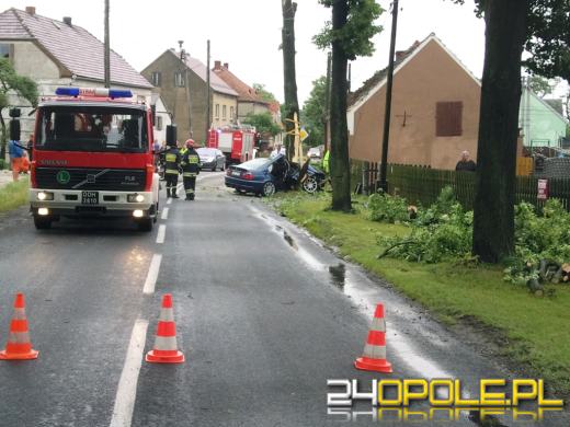 BMW roztrzaskało się na drzewie